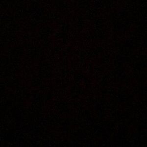 Meet your Posher, Shanell